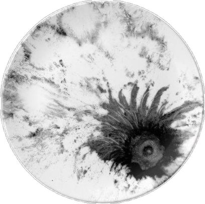 a black and white photo of an animal's head in the center of a plate