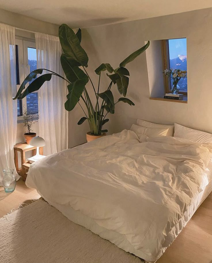 a large bed sitting in a bedroom next to a tall plant on top of a wooden floor