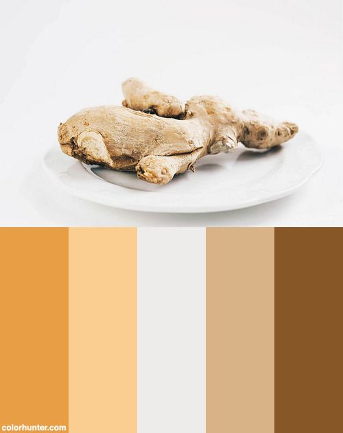 a plate with some food on it next to a color swatch that says autumn