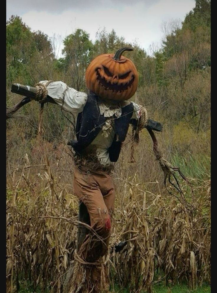 a scarecrow carrying a pumpkin on his back