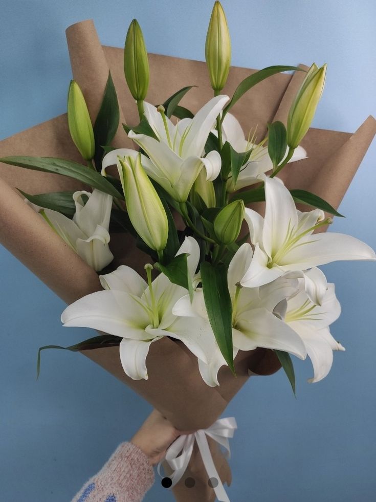 a bouquet of white lilies is held by someone's hand on a blue background