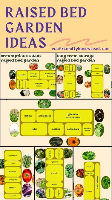 an image of raised bed garden ideas with text overlay that reads raised bed garden ideas