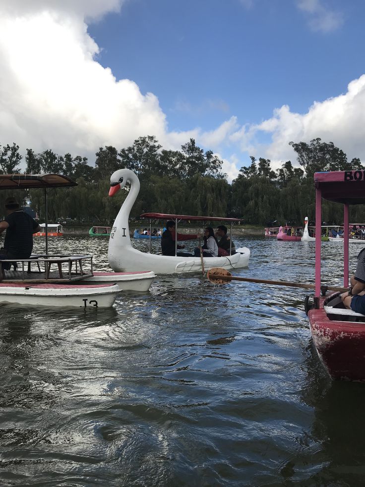 some people in boats on the water and one swan is floating down it's side