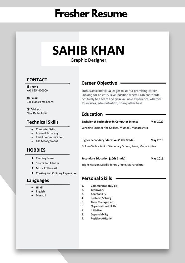 a professional resume template with no work experience