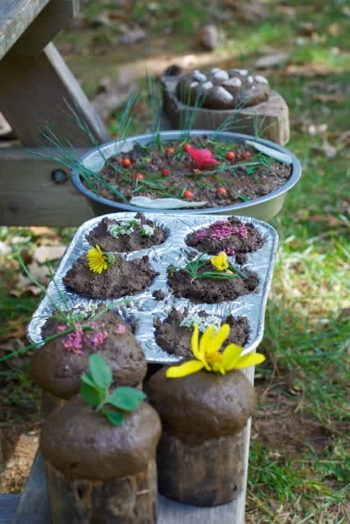 there are many plants in the trays on the bench and one is growing out of it