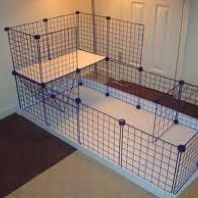 an empty room with several cages on the floor