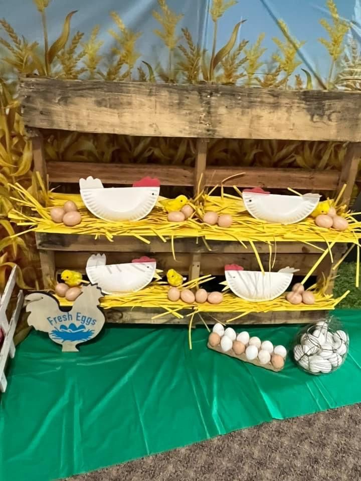 an arrangement of eggs and other items on display