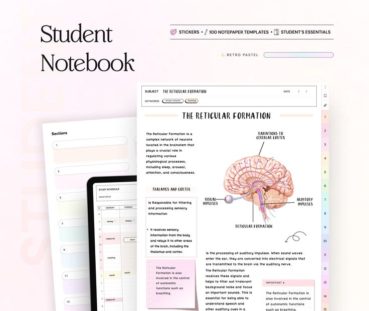 Student Digital Notebook Pastel Hyperlinked Goodnotes Templates Planner Template for Notability iPad notetaking apps college academic notes digitalplannerfreebie #goodnotestemplatesfreeplanner Academic Notes, Hyperlinked Digital Planner, Ipad Notebook, Free Notebook, Planner Writing, Notebook Templates, Notepaper, Purple Theme, Study Schedule