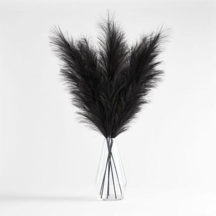 black feathers in a glass vase on a white background