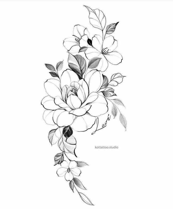 a black and white drawing of flowers with leaves on the bottom half of each flower