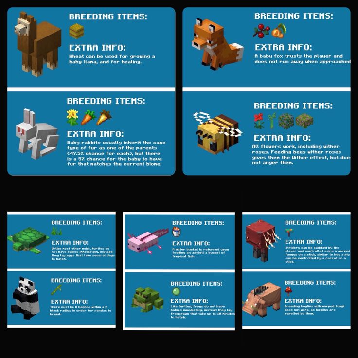 an info sheet showing the different types of minecraft items and how to use them