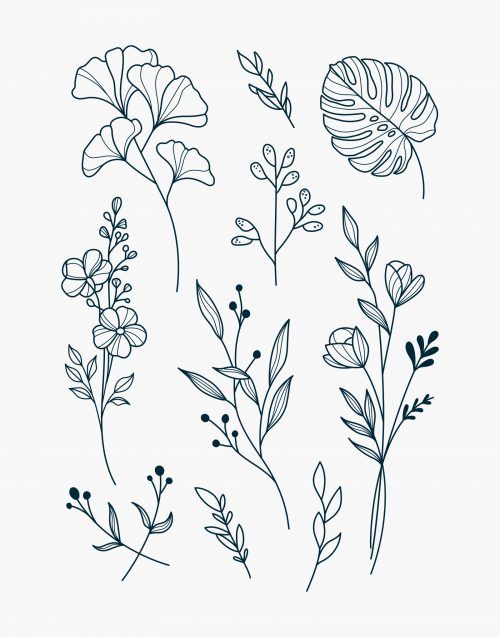 flowers and leaves drawn in ink on white paper