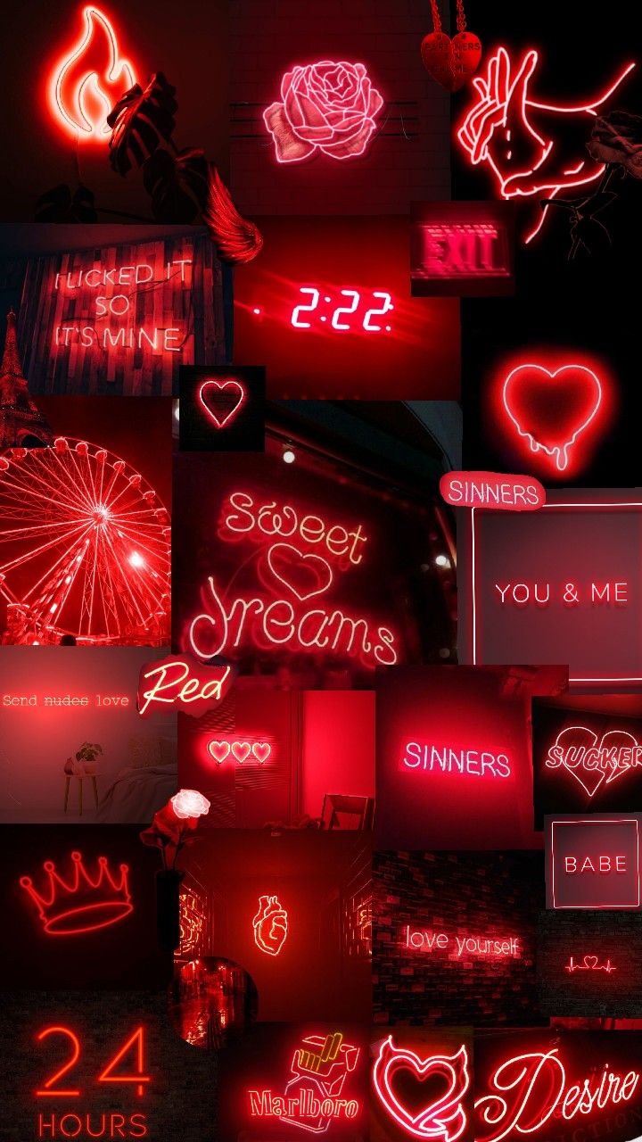 various neon signs are displayed on the wall