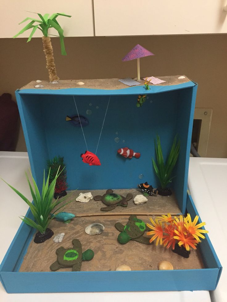 an aquarium with rocks, plants and fish in it on a white countertop next to a blue box