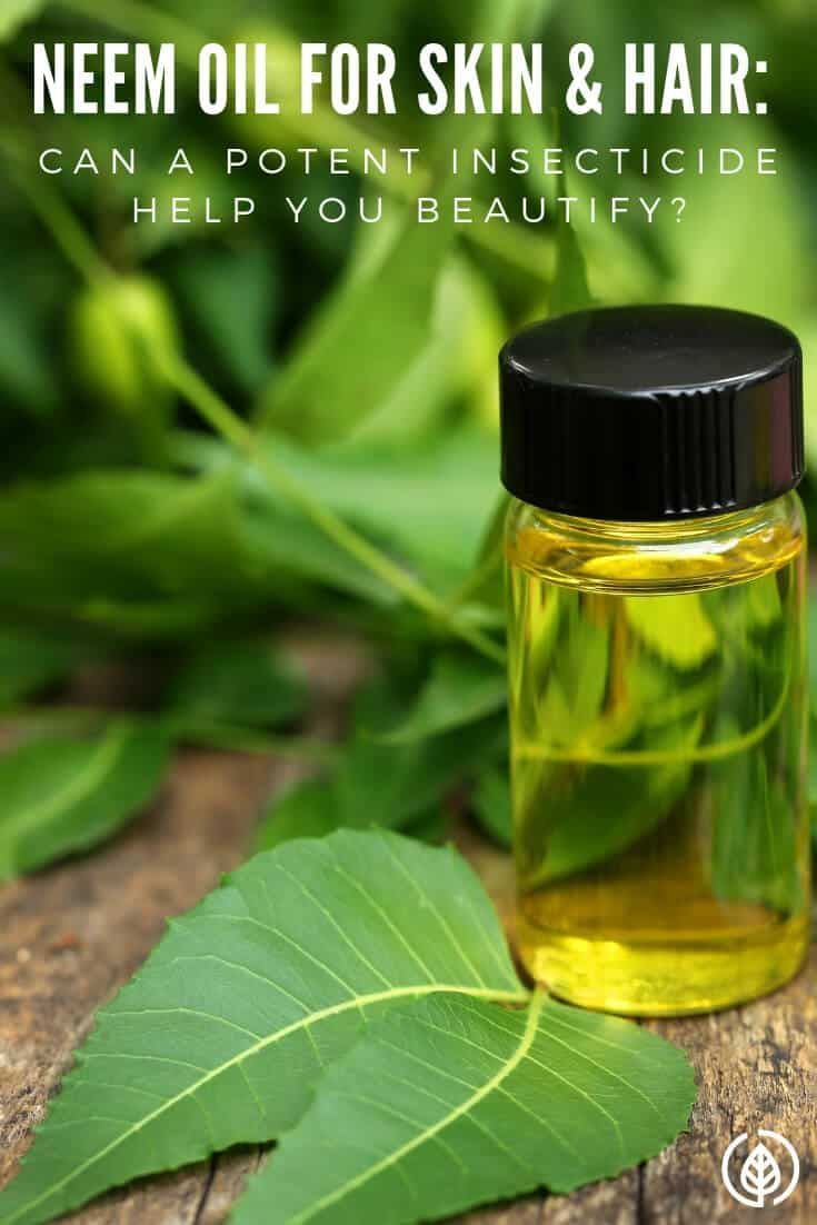 Considering how powerful the compounds in the neem plant are, why is using neem oil for skin and hair gaining in popularity? After all, neem is used as an insecticide. If it can kill critters, wouldn't rubbing it in your hair and skin cause problems? Discover more about this remarkable essential oil. Neem Oil For Hair, Grapeseed Oil Benefits, Best Oil For Skin, Oil For Dry Skin, How To Grow Natural Hair, Essential Oils For Hair, Citrus Oil, Neem Oil, Hair Essentials