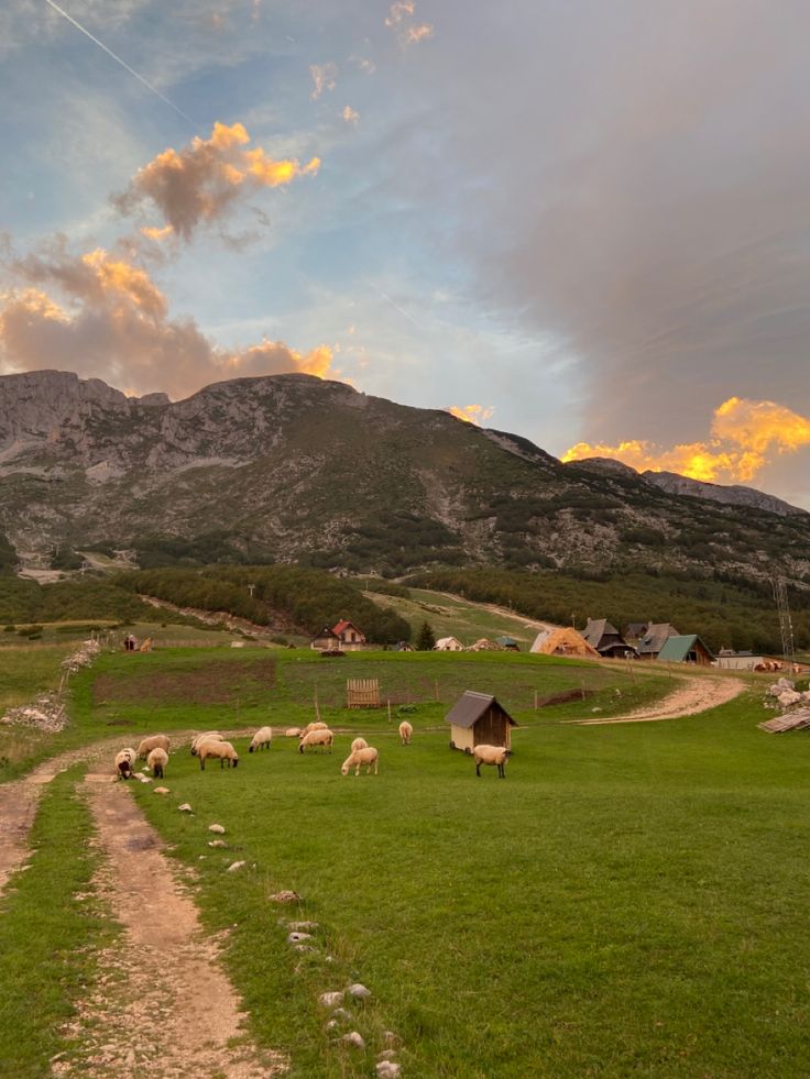 sheep graze in the meadow, against the backdrop of mountains and small village houses Sheep Mountain, Cute Village, Mountain Sheep, All Anime Characters, Sheep Farm, Cute Sheep, Mountain Village, Future Life, Art References