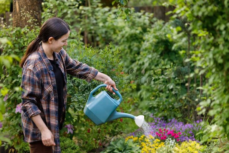 Smiling young woman gardener water the flowers and plants from watering can in garden stock photo Taking Care Of Plants, Picture Of A Person, Photo Garden, Flower Bush, Smiling Woman, Water Plants, Watering Can, The Flowers, Young Woman