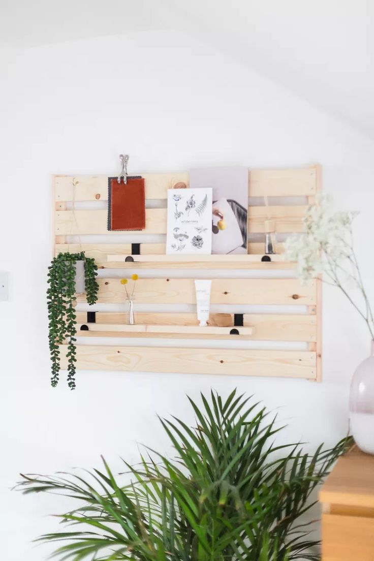 a potted plant sitting on top of a wooden shelf