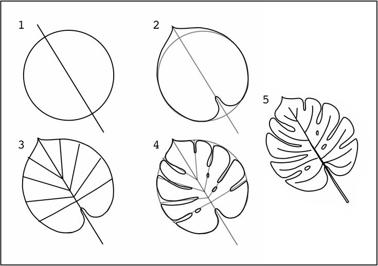 the diagram shows how to draw leaves in three different ways, including one for each leaf