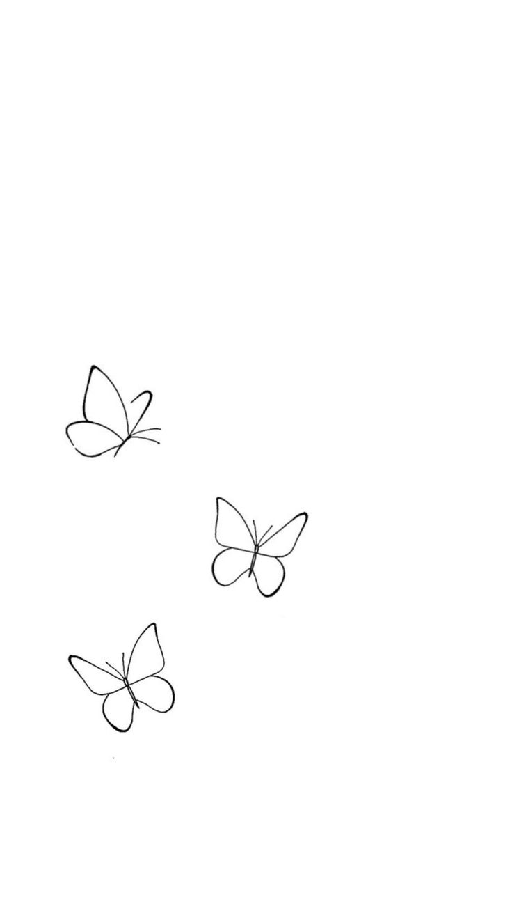 three butterflies flying in the air on a white background