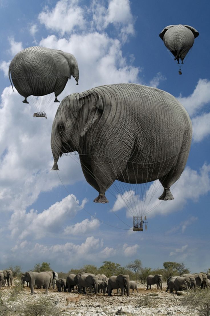 elephants are flying in the air with parachutes