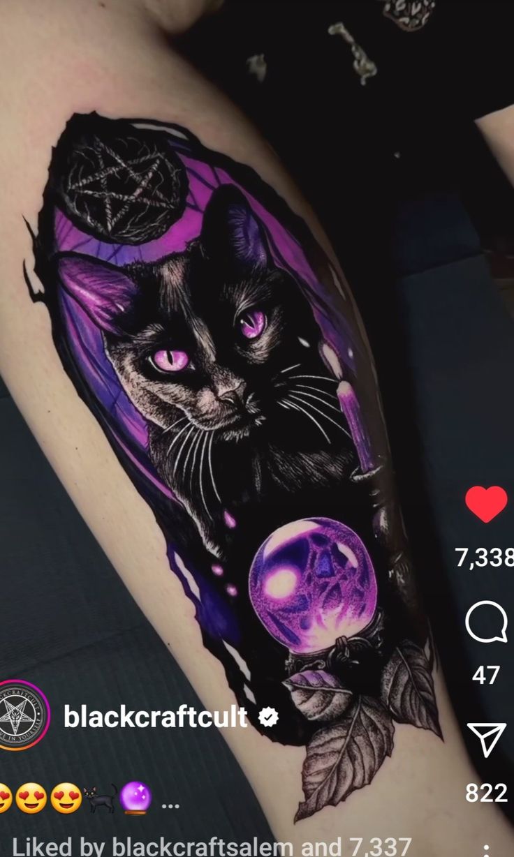 a black cat with purple eyes is on the arm