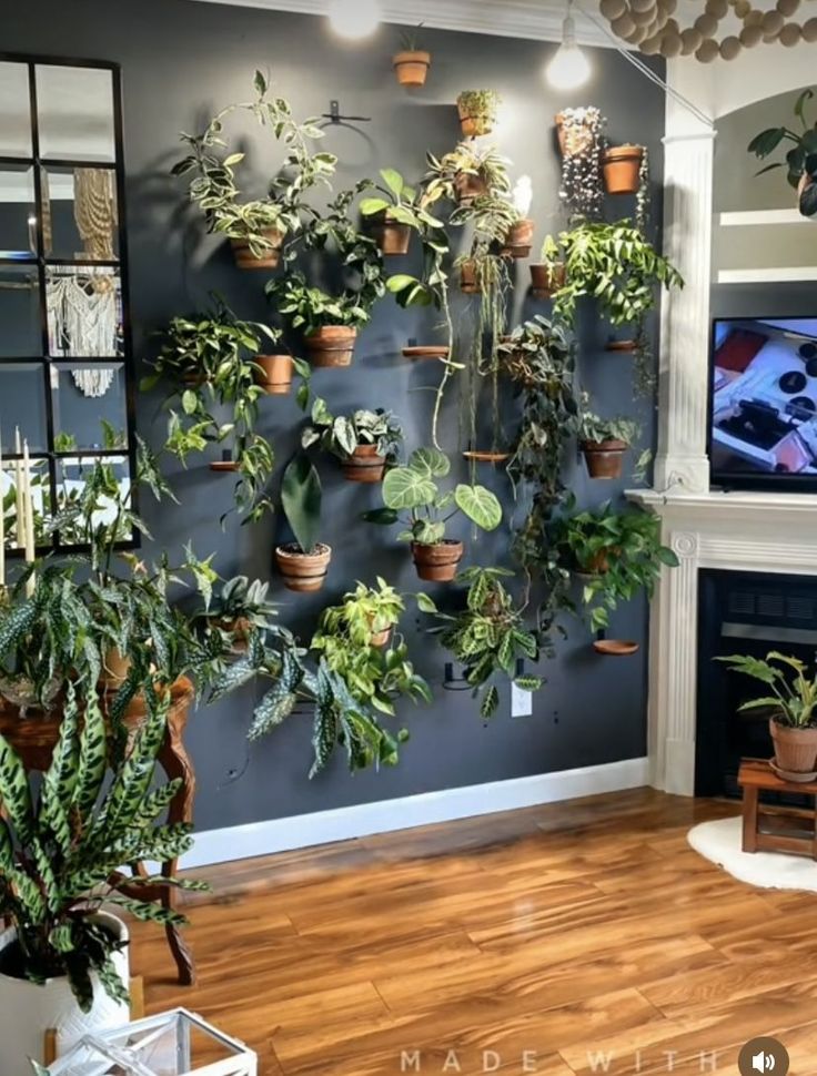 a living room filled with potted plants and a flat screen tv mounted to the wall