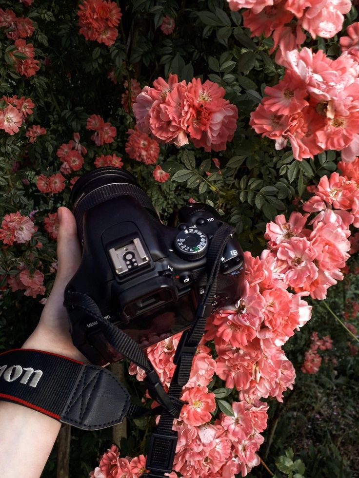 a camera being held up in front of pink flowers