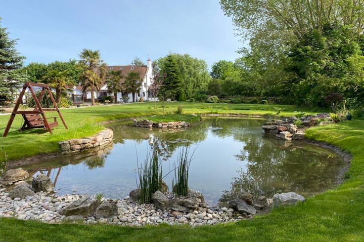 a small pond in the middle of a grassy area with rocks and grass around it