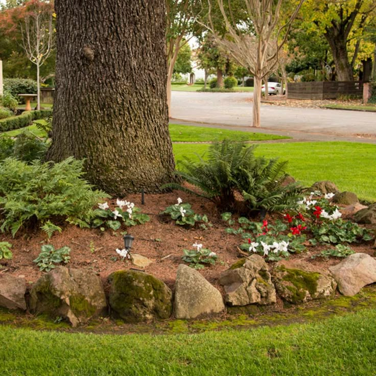 a large tree sitting next to a lush green park filled with lots of trees and flowers