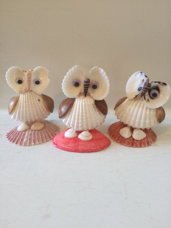 three little owls sitting on top of seashells