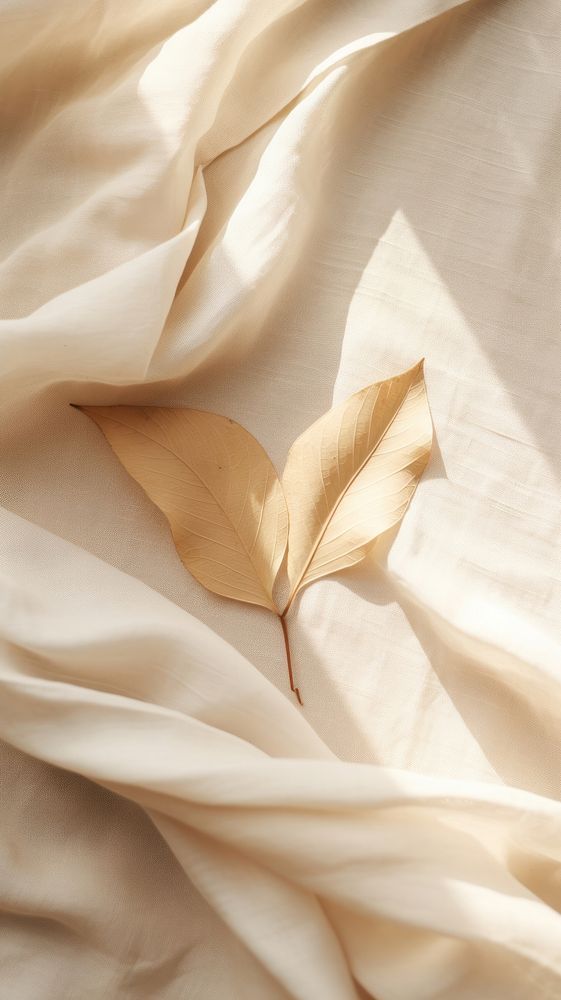 a leaf laying on top of a white sheet