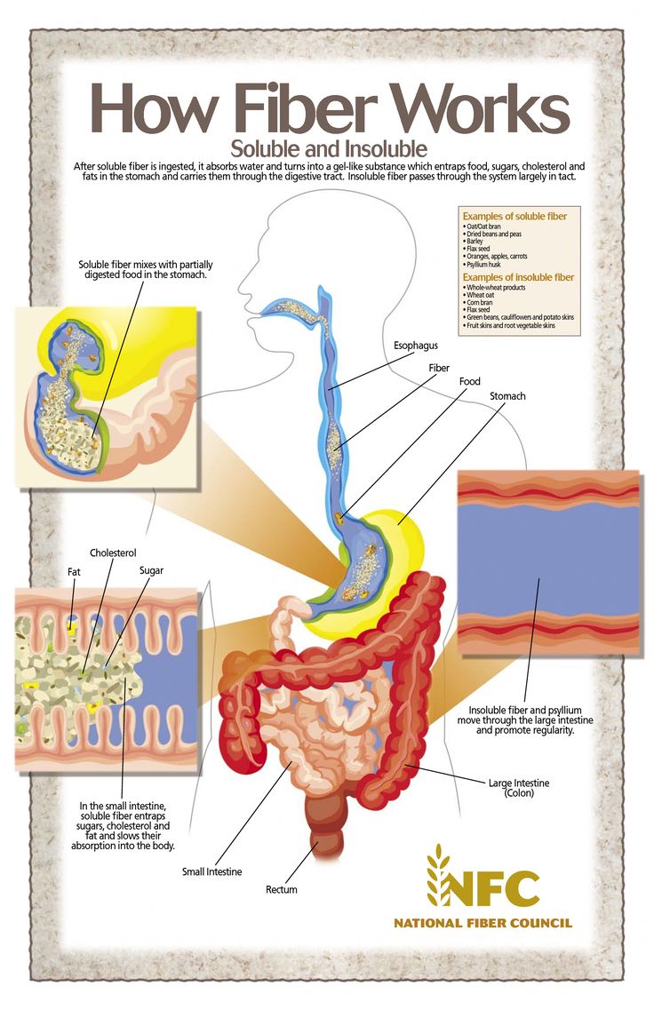 This infographic provides information for fiber. It explains the difference between soluble and insoluble fiber. It also shows how fiber is digested i Smoothies Vegan, Info Board, Daily Exercise, Healthy Advice, Health Blog, Health Info, Nutrition Recipes, Body Health, Healthy Tips