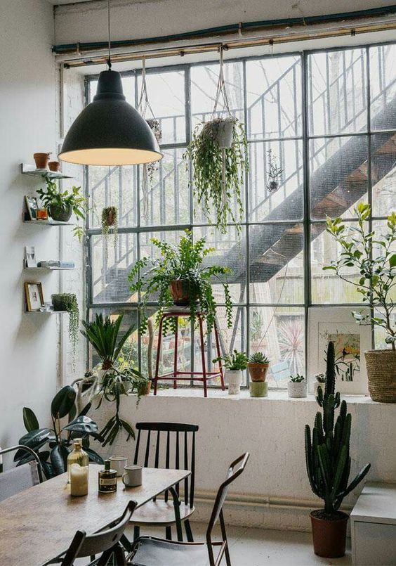 a room filled with lots of plants next to a window