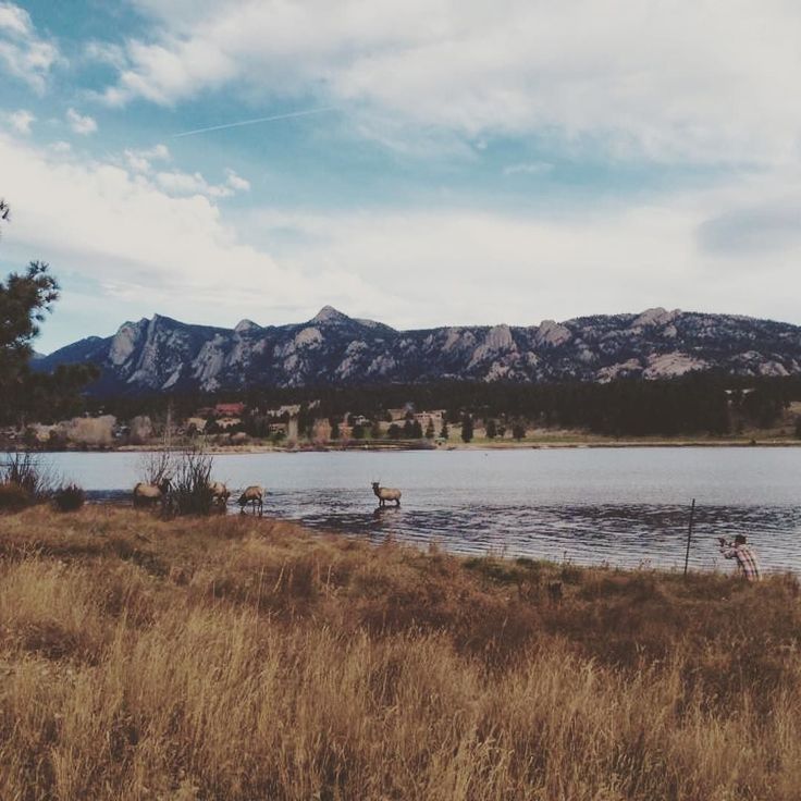 a lake surrounded by tall brown grass and mountains in the distance with people standing on it