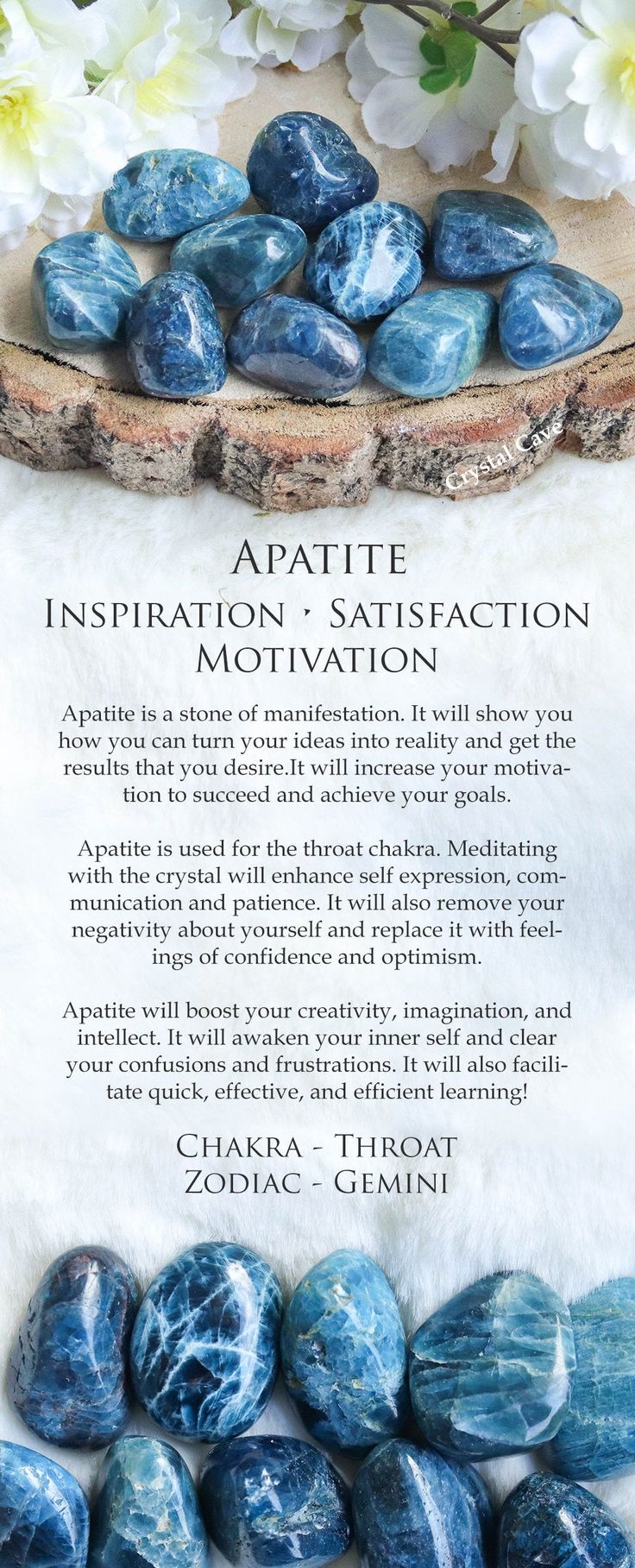 Apatite Meaning, Learning Inspiration, Crystal Store, Apatite Crystal, Crystals Store, Crystals Healing Properties, Spiritual Crystals, Gemstone Meanings, Crystal Therapy