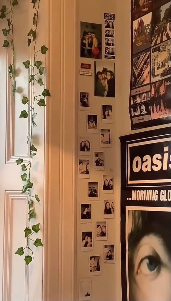 there is a plant growing on the wall in front of posters and pictures hanging on the wall