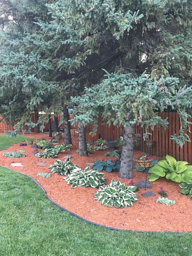 a garden area with trees and plants in the grass, along side a wooden fence