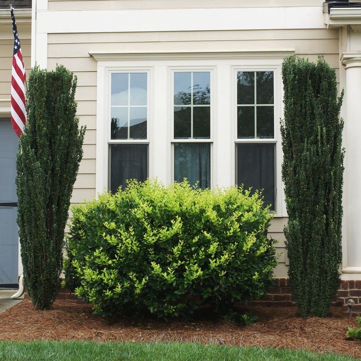 an american flag is hanging in front of a house with bushes and shrubs around it