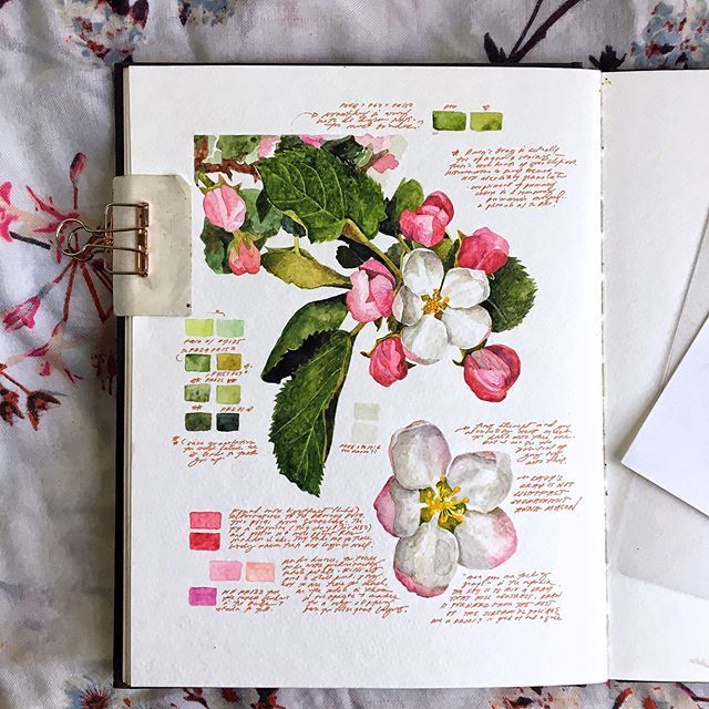 an open book with flowers on it and some papers next to the pages that have been colored