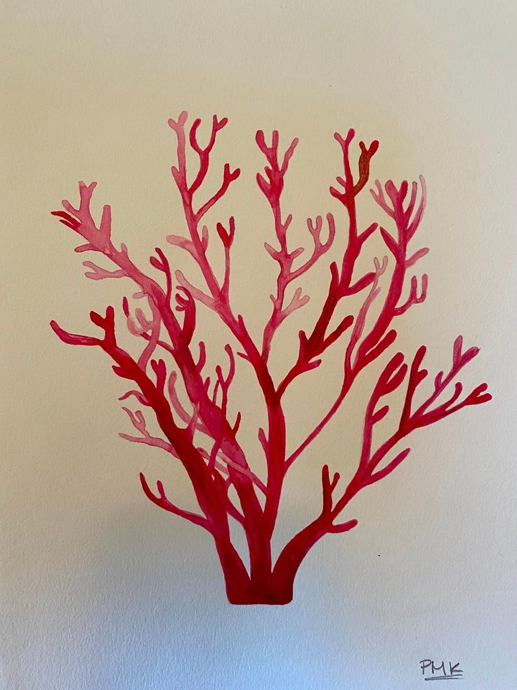 a painting of a red coral on a white wall