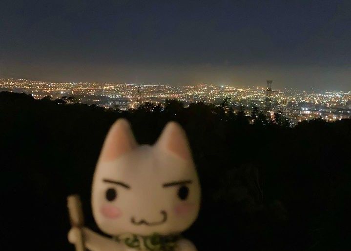 a cat figurine sitting on top of a hill with the city lights in the background