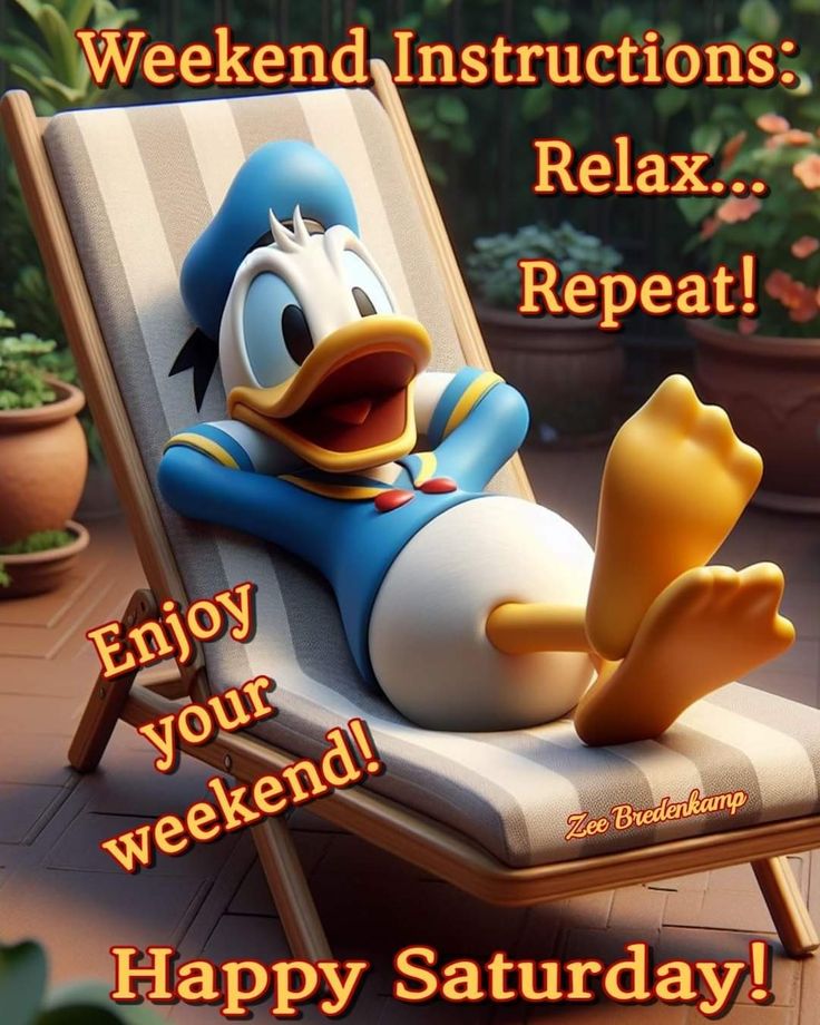 a cartoon character relaxing in a lawn chair with the caption, relax enjoy your weekend happy saturday