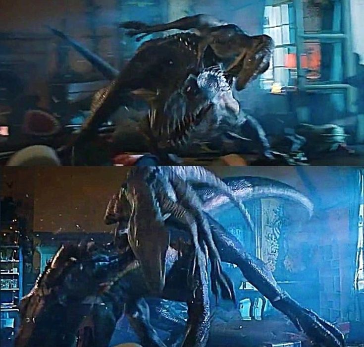 two pictures of dinosaurs in the same scene