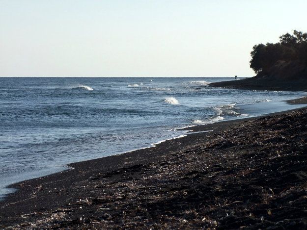 there is a beach with waves coming in to the shore and trees on the other side