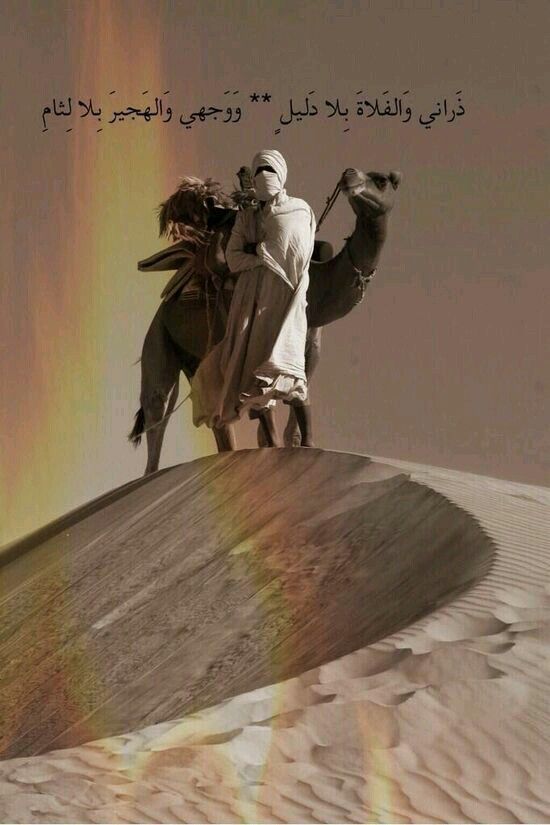 two people riding camels on top of a sandy hill with a rainbow in the background