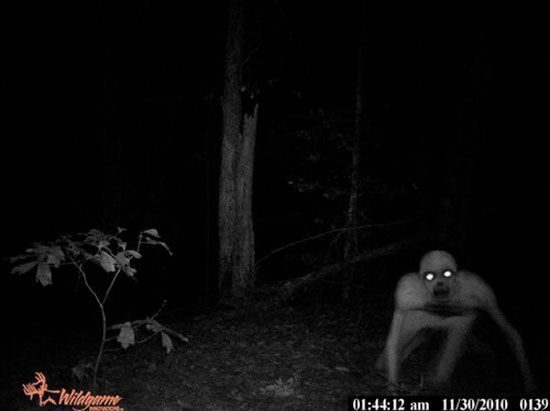 a blurry image of a person walking in the woods at night with a flashlight