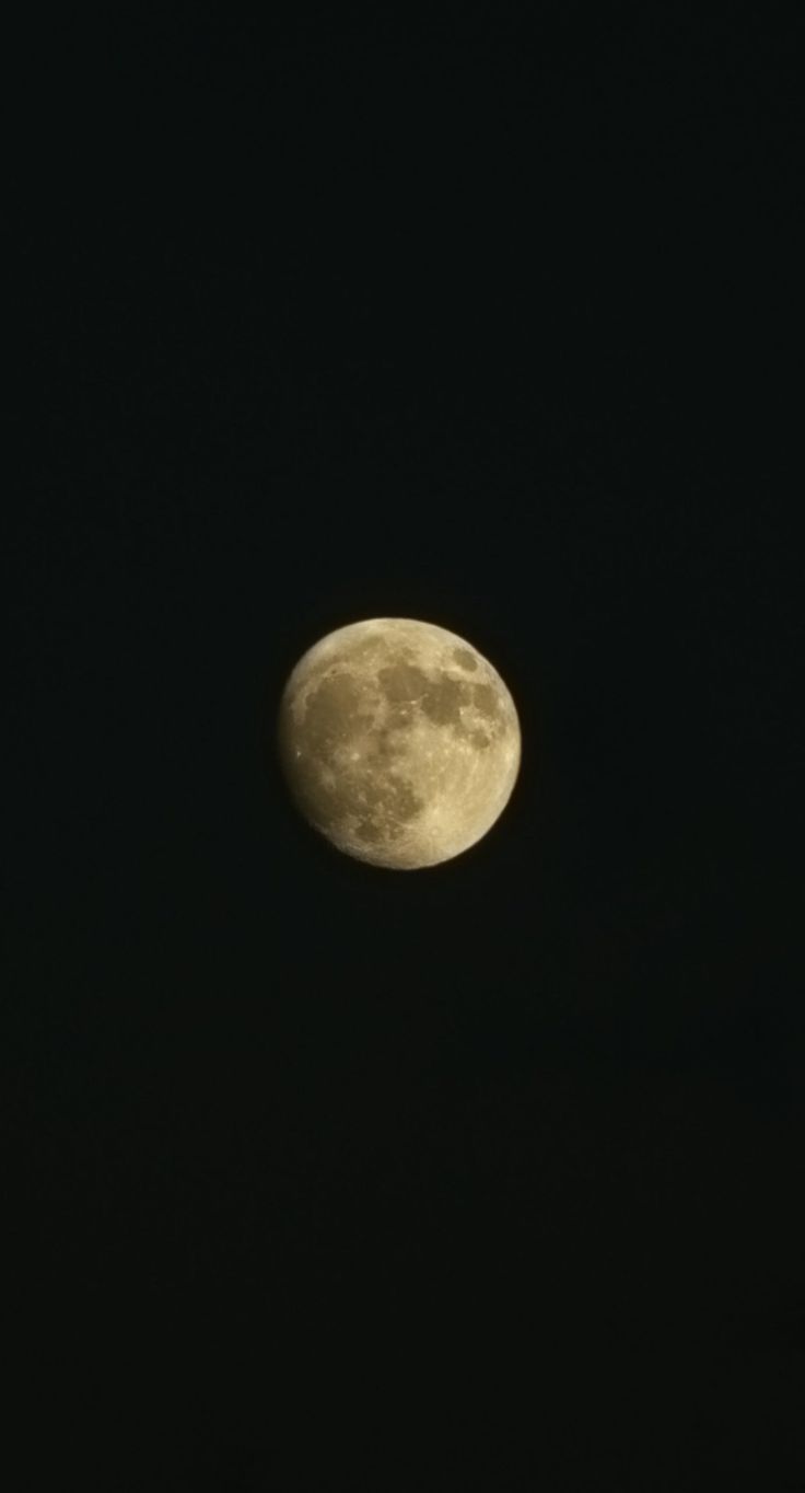 the full moon is seen in the dark sky