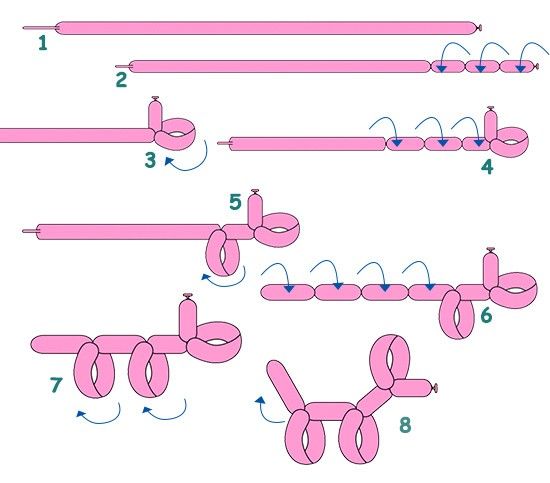 the instructions for how to make an inflatable dog toy with balloons and string