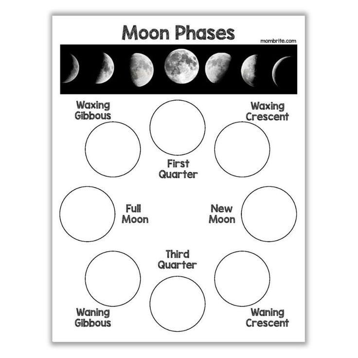 phases of the moon in black and white